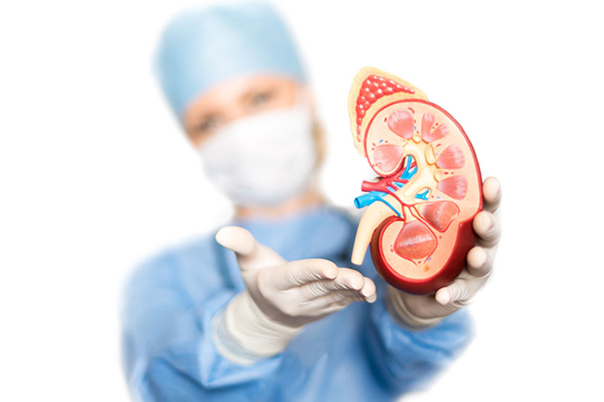 Best Kidney Transplant Surgery in Ghaziabad