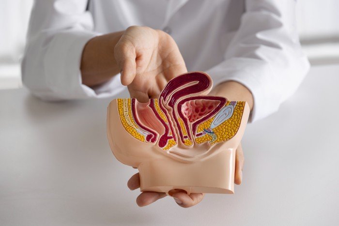 Best Ureteric Stone Treatment in Ghaziabad